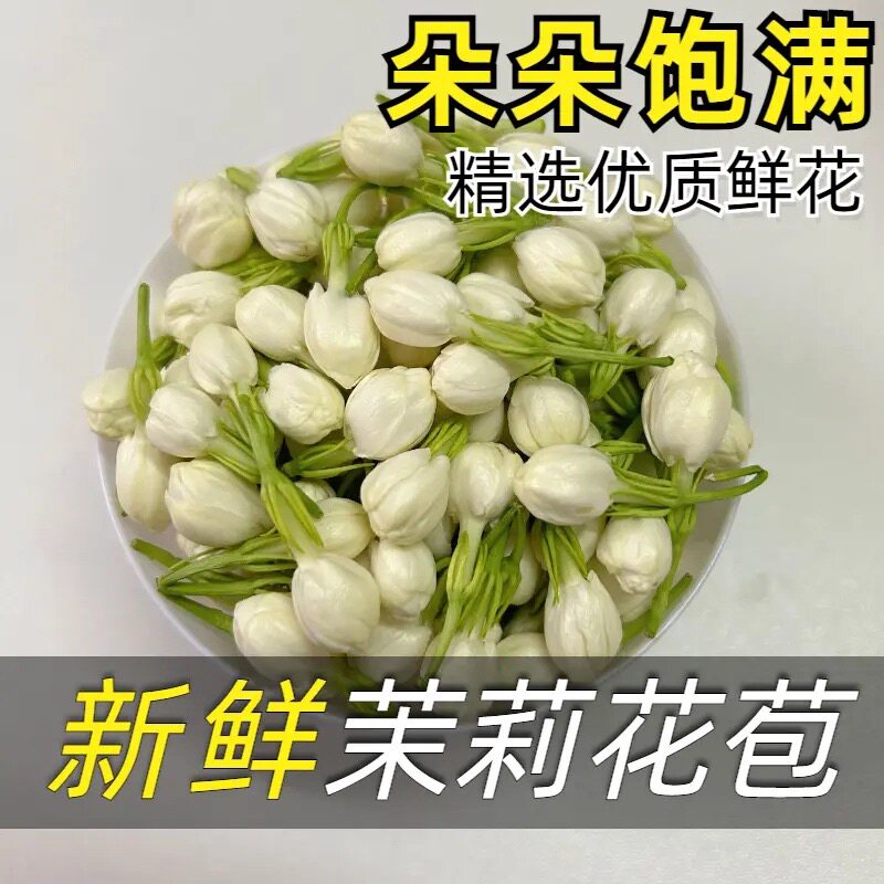 新鲜茉莉花苞浓香型泡水闻香味穿手串夜市摆摊精油纯露茉莉花鲜花
