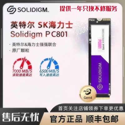 海力士PC801SSD固态硬盘1TBM.2