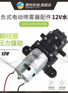12V电动喷雾器水泵全铜电机自吸式隔膜泵2203/4200/5500型YJL配件