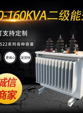 二级能效变压器 S20-M-160kVA/10/0.4kV-NX2 全密封油浸式变压器