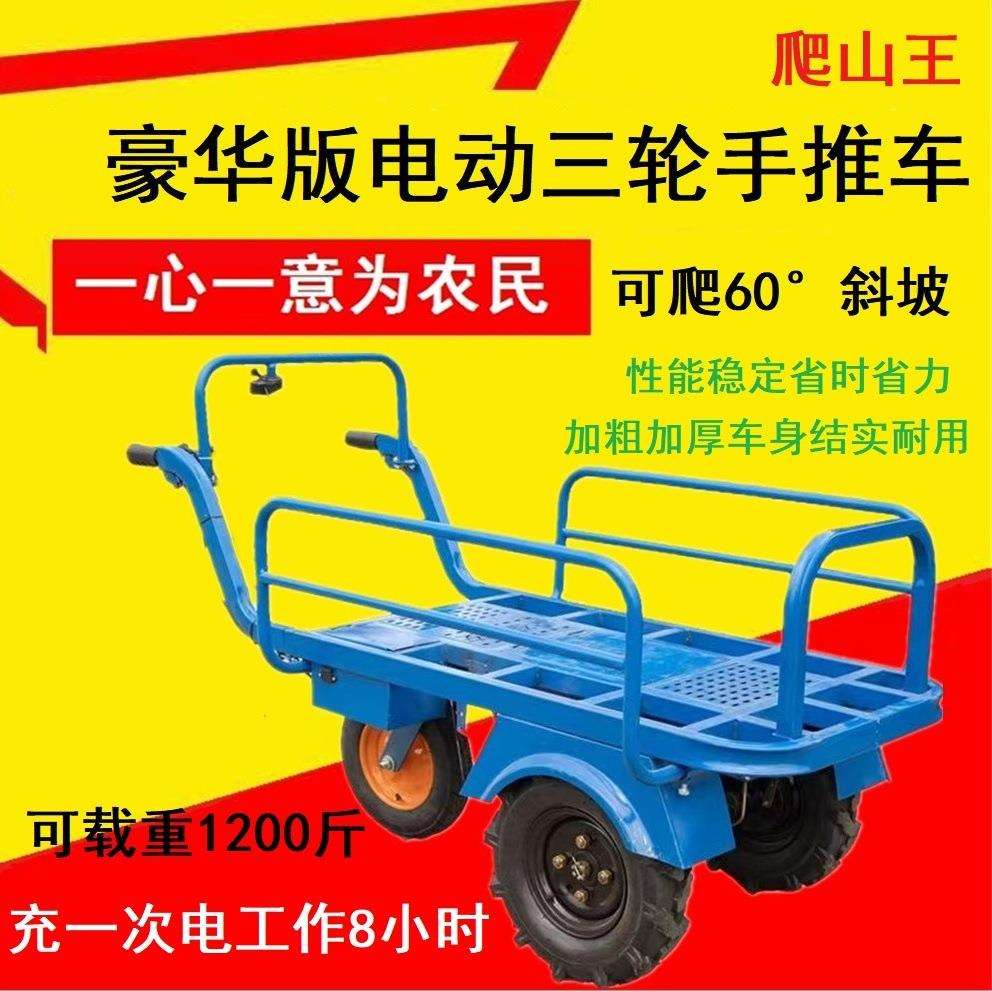 田间小路方便拉货独轮运输车小型农用三轮车电动款果园运输车