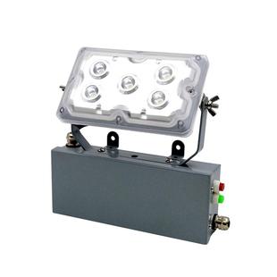 ZY8810应急照明灯/配电房应急灯8W12W