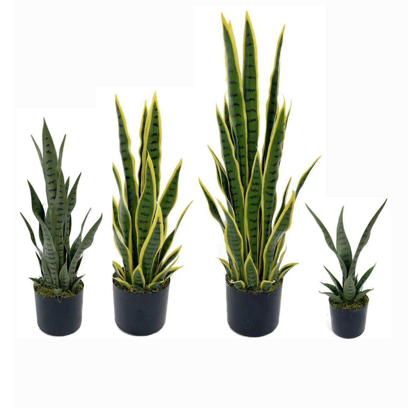 爆款仿真虎皮兰厂家绿色虎尾兰龙舌兰盆栽装饰造景假树,玩具/童车/益智/积木/模型,其它,淘宝优惠券,粉丝福利购,淘宝优惠卷