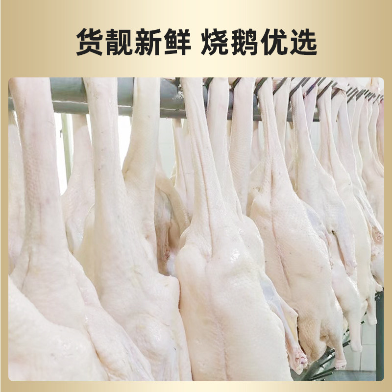 天照鲜冻白条鹅肉冻鹅商用冰冻二光鹅烤鹅广东烧鹅专用大鹅整只