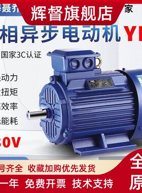 ye3三相异步电动机11KW15/18.5/22/30/37/45/55千瓦全铜380V电机