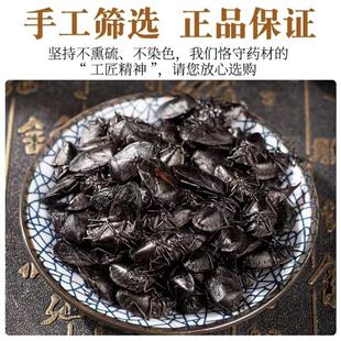 正宗野生大个九香虫中药材云南 打屁虫 黑兜虫臭屁虫臭壳子放屁虫
