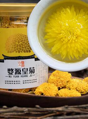 大朵菊花茶婺源皇菊晓起黄山贡菊金丝菊江西特产徽州篁岭罐装黄菊