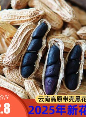 2024云南特产富硒黑花生味甜带壳花生米特级袋装饱满种子零食包邮