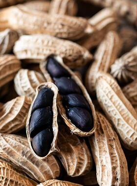 大理山居普洱黑花生云南黑花生黑皮花生云南特产小粒生花生晒干