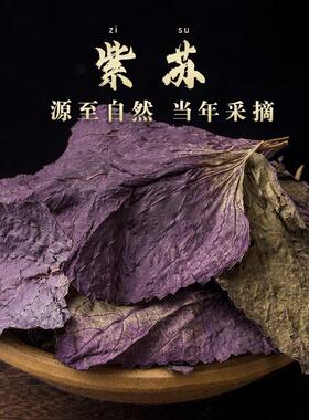 紫苏叶干货中药材泡茶食用紫苏叶粉泡脚儿童泡水喝泡澡野生子苏叶