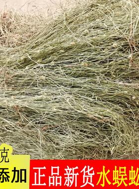 水蜈蚣草 寒气草 散寒草 一箭球 三荚草 金纽草 三箭草 三星草