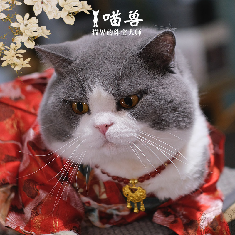 喵兽宠物珍珠项链铃音福锁猫咪项链黄金色锁包吊坠小型犬项圈颈饰