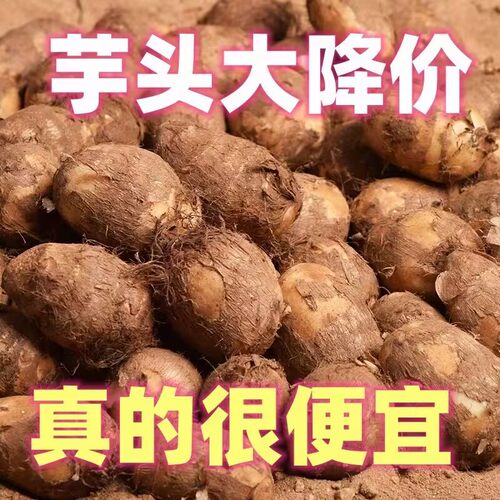 【官方推荐】正宗牛奶芋头小香芋