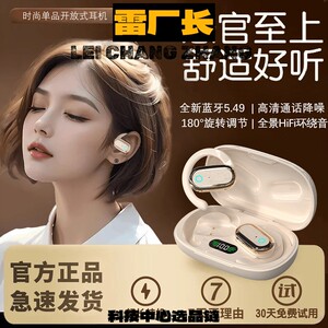 瑞和蓝牙耳机新款无线挂耳式佩戴舒适运动跑步超长续航降噪