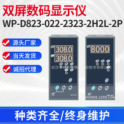 双屏数码显示数字显示仪WP-D823-022-2323-2H2L-2P双回路显示仪