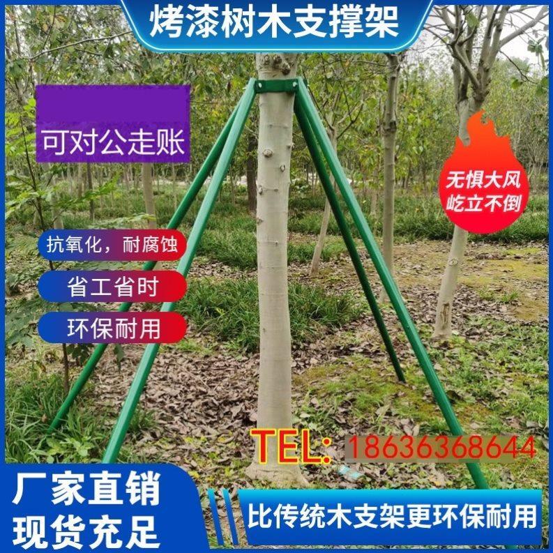 树木支撑杆固定支架防风支架大树园林绿化镀锌钢管树木支撑架