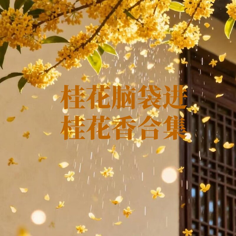 桂花香合集多款试香小样图片
