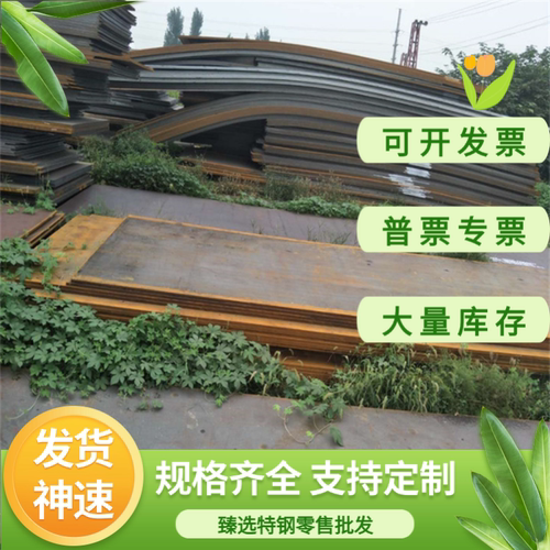 X38CRMOV5-3 DH31-S热作模具钢X33CRS16 4Cr5MoSiV1 BH23钢板圆棒