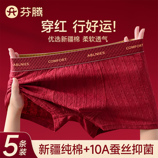 四角裤 芬腾本命年红色内裤 马年平角结婚礼物男款 纯棉2025新款 男士