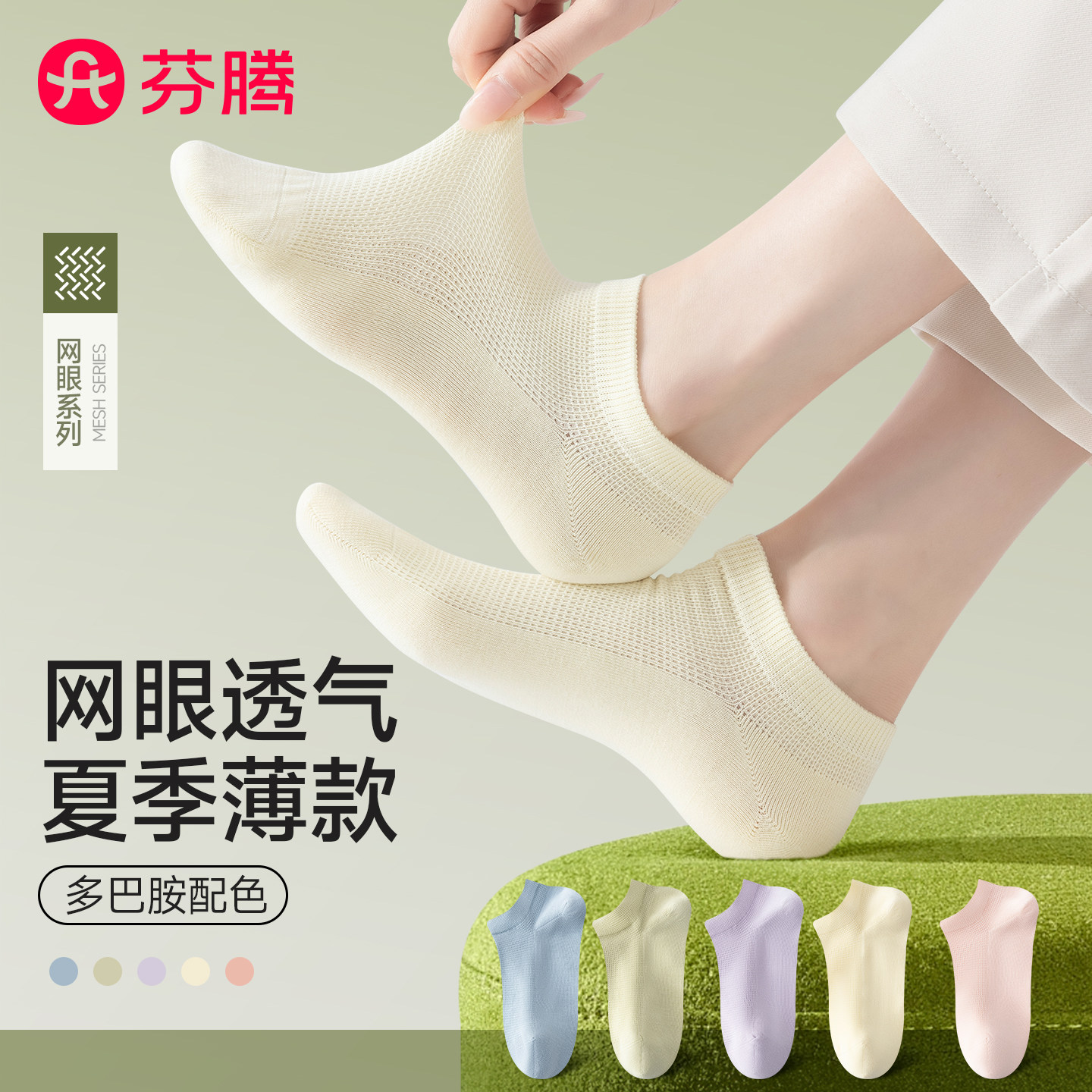 船袜女夏季薄款2026新款爆款图片