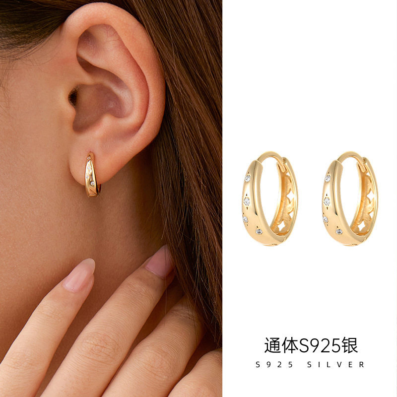 高级感S925银2025新款满天星耳环