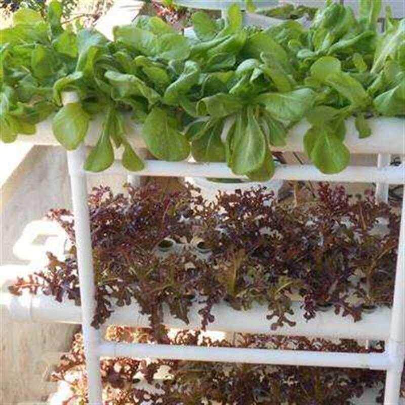家庭管道式阳台自动无土栽培设备水耕水培蔬菜种植槽箱盆容器o.