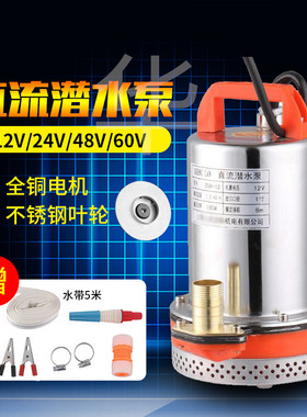 12v24v48V60v72v电瓶直流高扬程潜水泵家用农X用洗车抽水机