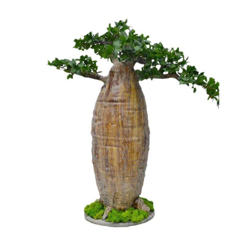 大型彷真植物非洲猴面包树彷真绿D植室外落地园林景观彷生大树