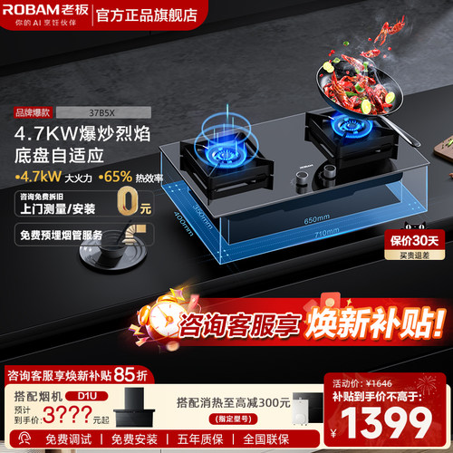 老板燃气灶30b0小尺寸双灶