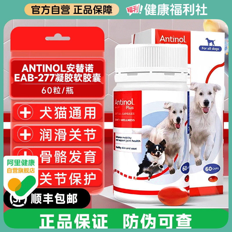 安替诺Antinol277髌骨脱位软骨素猫狗宠物关节强炎腰椎骨刺安它诺