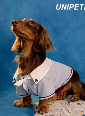 UNIPETISM 学院风丝带衬衫 宠物服装