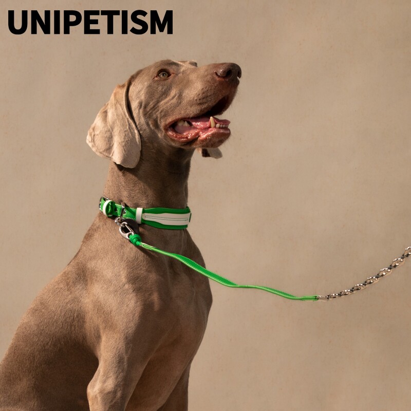 UNIPETISM 可背挂多功能细腻环保甜酷少女风项圈牵引绳  UNI24M02