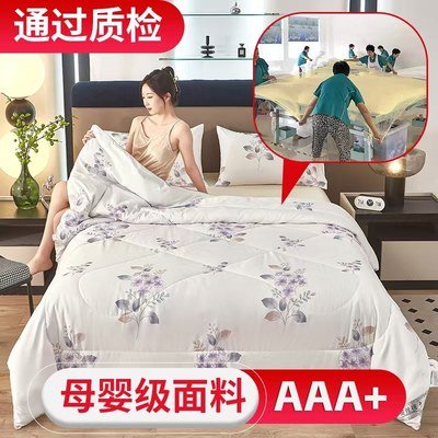 88出口正品蚕丝被桑蚕丝被秋冬被加厚保暖被子（无枕套）