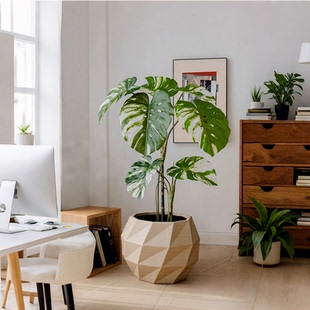 宝诗格盆栽绿植阳台家用植物水泥花器多边形镁泥花盆田园风庭院