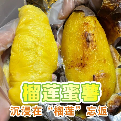 新鲜榴莲蜜薯火山一号黄心蜜薯玛莎莉番薯烤地瓜红薯农家产地直发