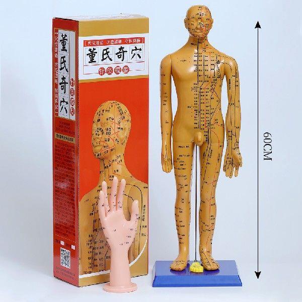 足疗经脚模型超清晰软质刻字脚模型反射区点穴按摩足底穴位模型|