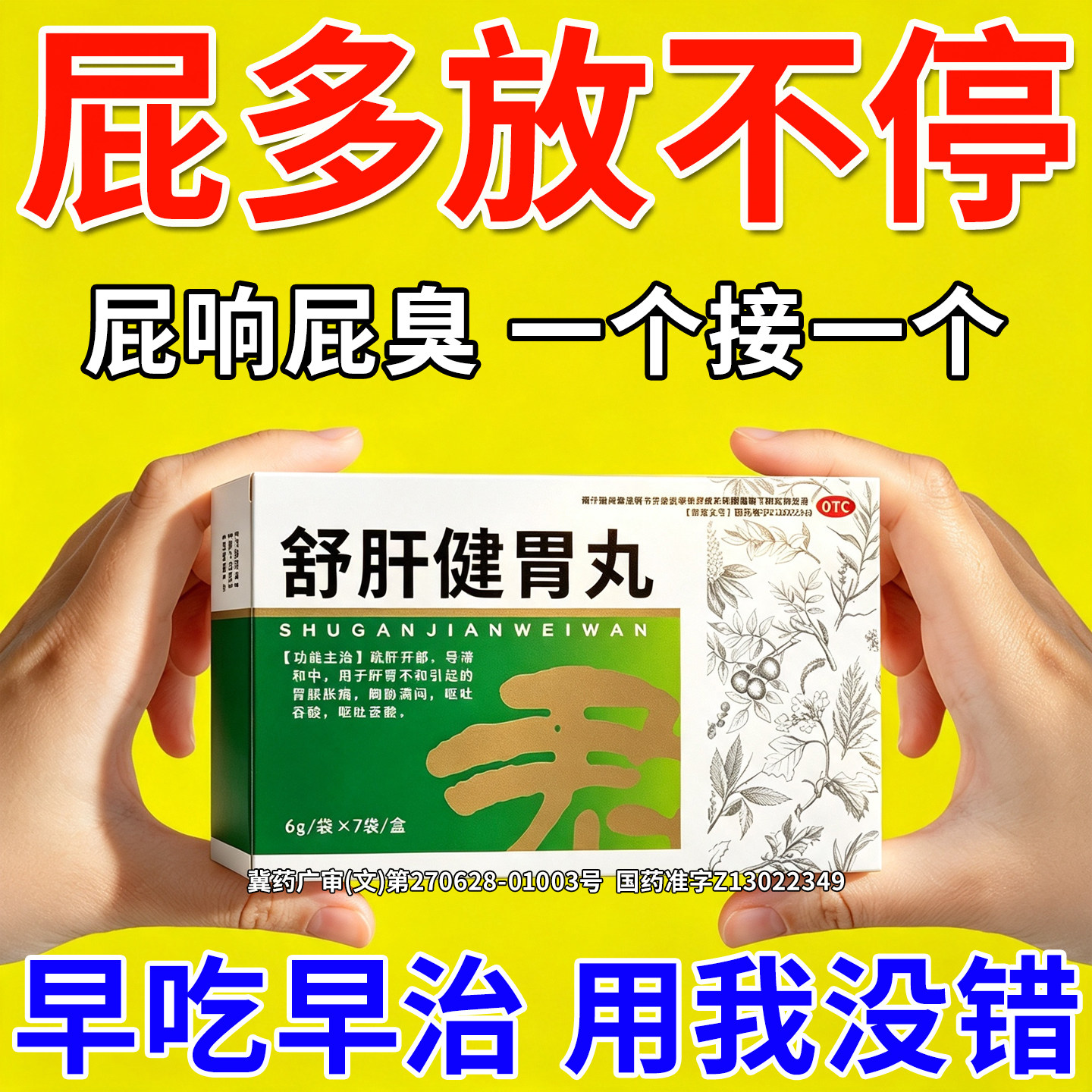 屁多老放屁治脾胃不和肚子胀气屁多经常放屁调理肠胃舒肝健胃丸