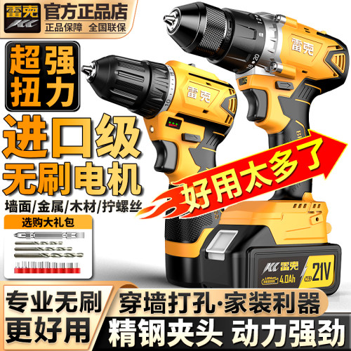 雷克无刷锂电子双速多功能动力强