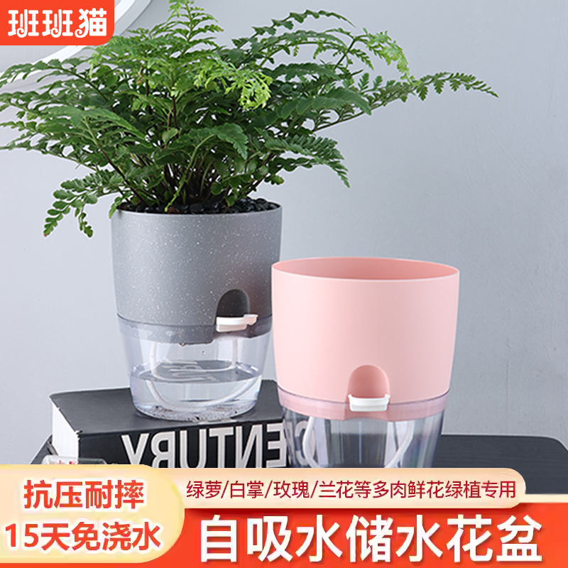 免浇水花盆桌面花盆绿萝盆