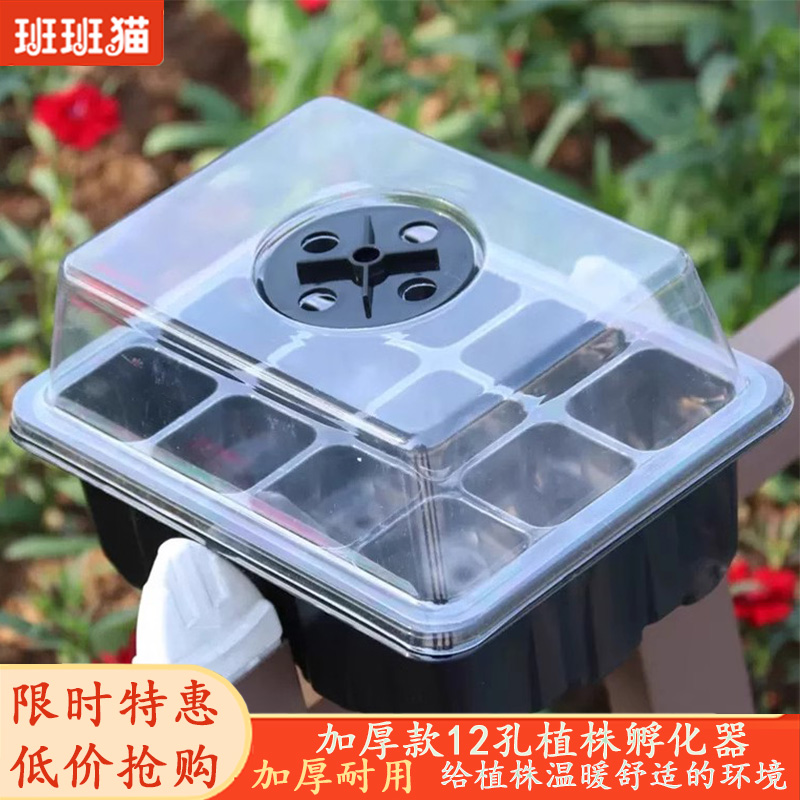 12孔育苗盒班班猫发芽率高