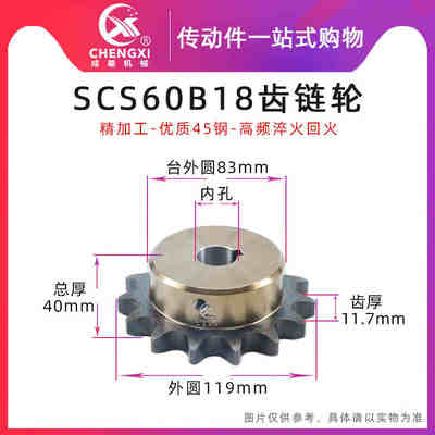 SCS高品质成型孔链轮6分 60B18齿 12A18T外径119精车内孔键槽顶丝