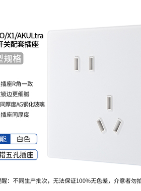 适配AKPRO/X1/AKULtra配套插座 白色/灰色
