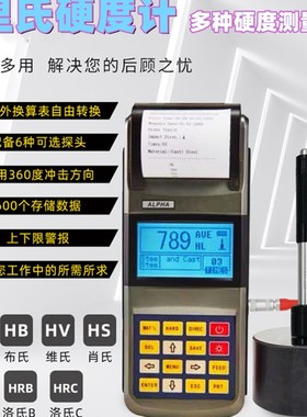 北京时代里氏硬度计HLN-11A便携式TH110洛氏布氏硬度测试仪天和