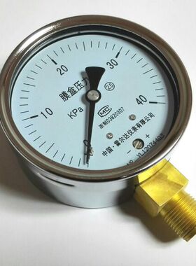 雷尔达仪表 膜盒压力表 YE-100 0-40kpa m20x1.5 直径100mm 2.5级
