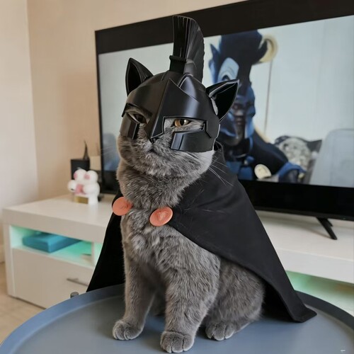 猫咪阿伽门农头盔3D打印帽子摆件