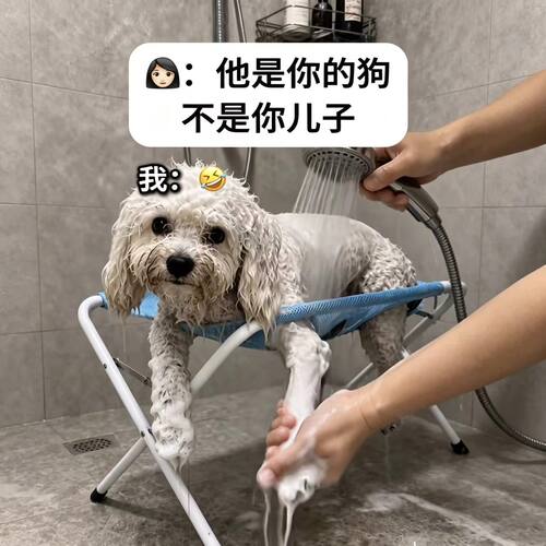 告别挣扎！小型犬洗澡固定架子