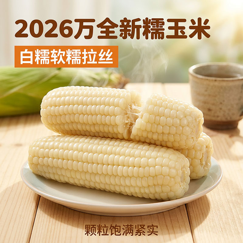 鑫洪滕万全白玉米甜玉米