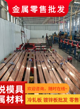 CW004A纯铜棒CU-ETP红铜板C1100紫铜排C11000 圆棒OF-Cu CU-FRTP