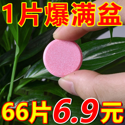 家用植物营养缓释片肥料