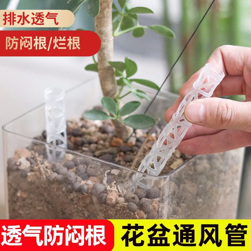 花盆通风管透明塑料防闷根透气排水孔育苗盘花卉种植神器防烂根